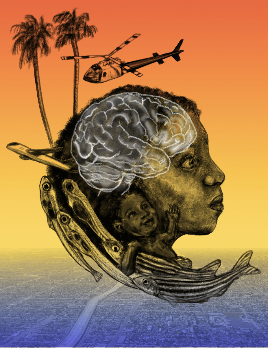 Illustration of heat and noise waves connecting zebrafish and human brain development